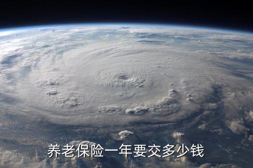 養(yǎng)老保險(xiǎn)一年要交多少錢