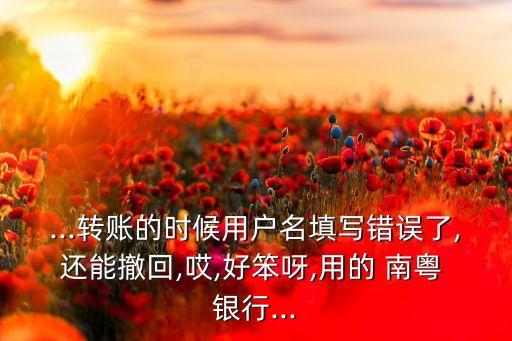 南粵銀行查詢余額,郵政儲蓄銀行怎么查詢余額