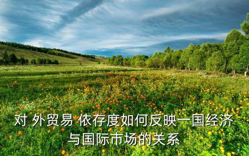 對 外貿易 依存度如何反映一國經濟與國際市場的關系