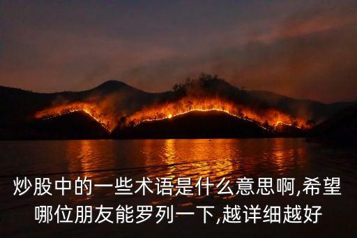 炒股中的一些術(shù)語是什么意思啊,希望哪位朋友能羅列一下,越詳細越好