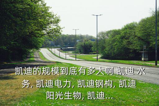 天門(mén)凱迪水務(wù)有限責(zé)任公司
