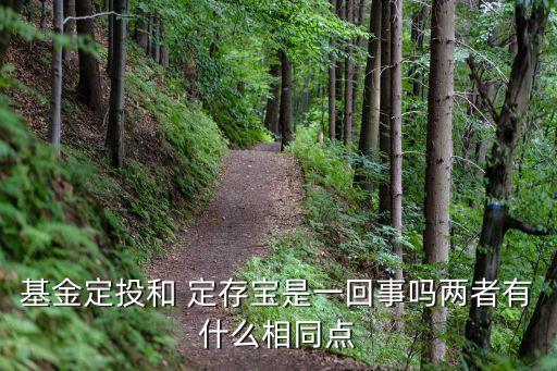 基金定投和 定存寶是一回事嗎兩者有什么相同點