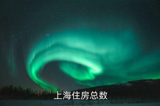  上海住房總數