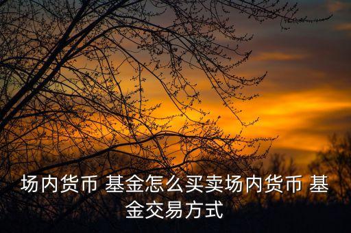 場(chǎng)內(nèi)貨幣 基金怎么買(mǎi)賣(mài)場(chǎng)內(nèi)貨幣 基金交易方式