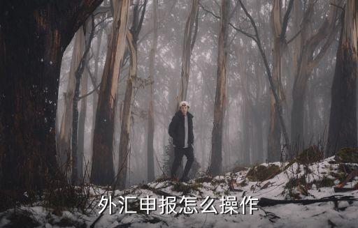 外匯申報(bào)怎么操作