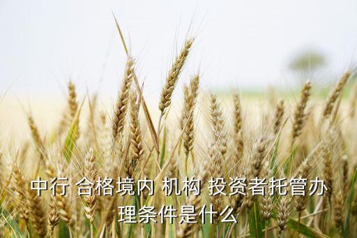 中行 合格境內(nèi) 機構(gòu) 投資者托管辦理條件是什么
