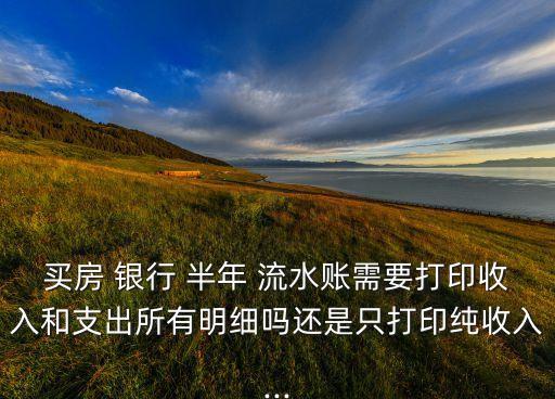 買(mǎi)房 銀行 半年 流水賬需要打印收入和支出所有明細(xì)嗎還是只打印純收入...