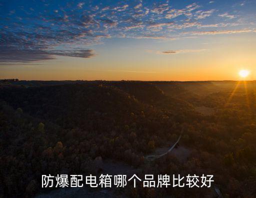 防爆配電箱哪個(gè)品牌比較好