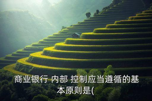  商業(yè)銀行 內(nèi)部 控制應當遵循的基本原則是(