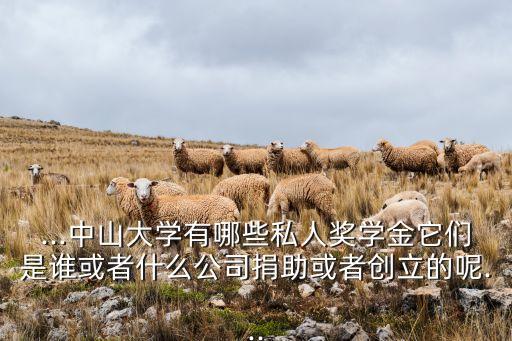 ...中山大學(xué)有哪些私人獎(jiǎng)學(xué)金它們是誰(shuí)或者什么公司捐助或者創(chuàng)立的呢...