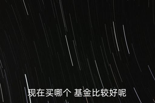 現(xiàn)在買(mǎi)哪個(gè) 基金比較好呢