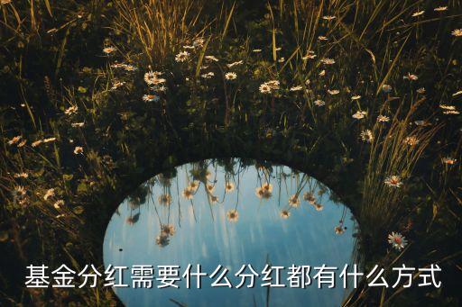  基金分紅需要什么分紅都有什么方式