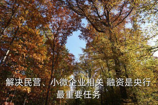 解決民營、小微企業(yè)相關(guān) 融資是央行最重要任務(wù)