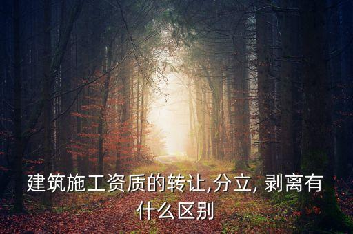 分公司債務(wù)剝離,企業(yè)如何進行債務(wù)剝離處理