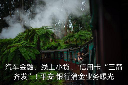 汽車金融、線上小貸、 信用卡“三箭齊發(fā)”! 平安 銀行消金業(yè)務(wù)曝光