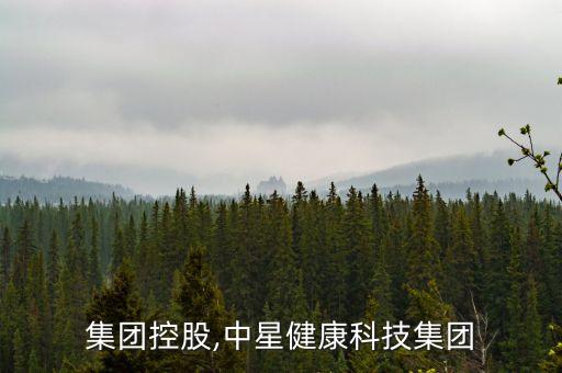 中星集團控股,中星健康科技集團