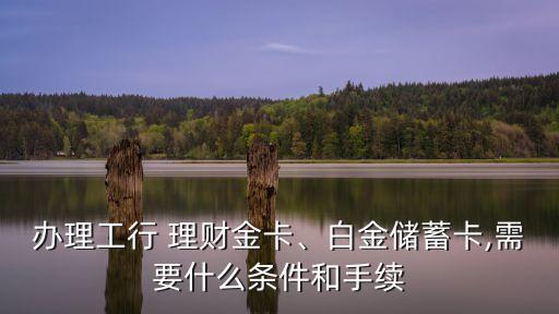 辦理工行 理財(cái)金卡、白金儲(chǔ)蓄卡,需要什么條件和手續(xù)