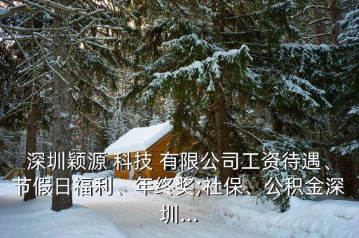 深圳穎源 科技 有限公司工資待遇、節(jié)假日福利、年終獎;社保、公積金深圳...