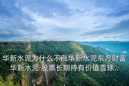 華新水泥為什么不漲華新水泥東方財(cái)富華新水泥 股票長(zhǎng)期持有價(jià)值雪球...