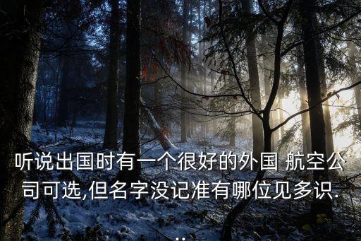 聽說出國時有一個很好的外國 航空公司可選,但名字沒記準有哪位見多識...