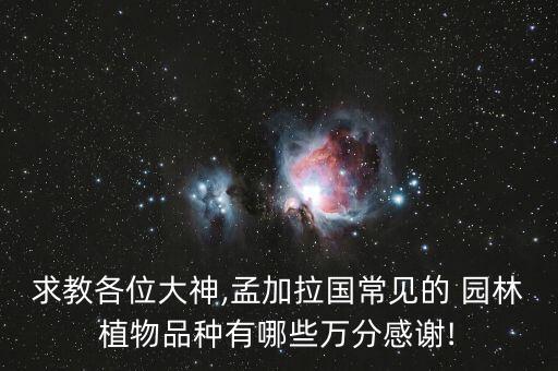 求教各位大神,孟加拉國(guó)常見的 園林植物品種有哪些萬分感謝!