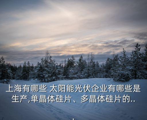 上海有哪些 太陽(yáng)能光伏企業(yè)有哪些是生產(chǎn),單晶體硅片、多晶體硅片的...