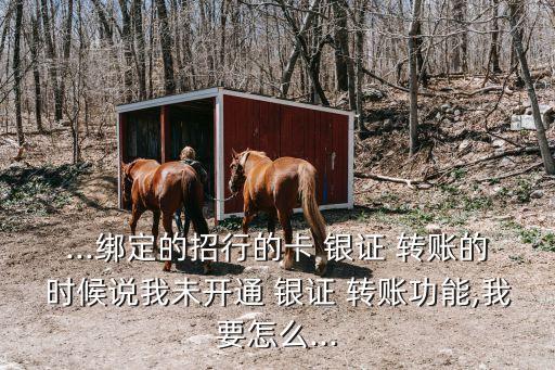 ...綁定的招行的卡 銀證 轉(zhuǎn)賬的時(shí)候說(shuō)我未開(kāi)通 銀證 轉(zhuǎn)賬功能,我要怎么...