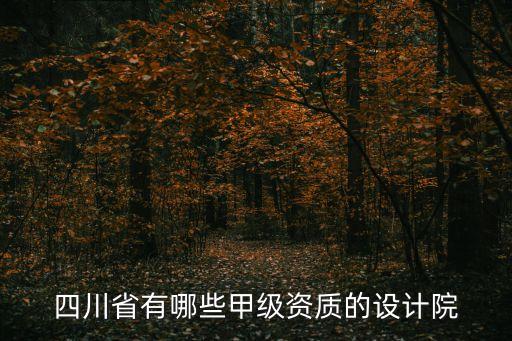 四川省有哪些甲級資質(zhì)的設(shè)計(jì)院