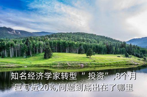 知名經(jīng)濟(jì)學(xué)家轉(zhuǎn)型“ 投資”,8個(gè)月巨虧近20%,問題到底出在了哪里