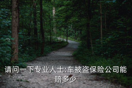 請(qǐng)問一下專業(yè)人士:車被盜保險(xiǎn)公司能賠多少