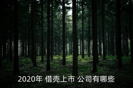 最有可能被借殼的公司,10家最有可能被借殼的公司