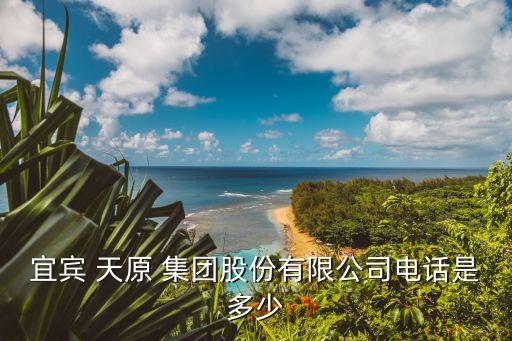 宜賓 天原 集團(tuán)股份有限公司電話是多少