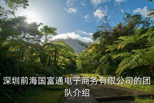 深圳前海國富通電子商務有限公司的團隊介紹