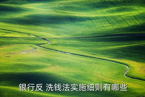  銀行反 洗錢法實施細(xì)則有哪些