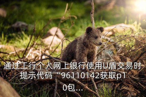 通過(guò)工行個(gè)人網(wǎng)上銀行使用U盾交易時(shí)提示代碼“96110142獲取p10包...