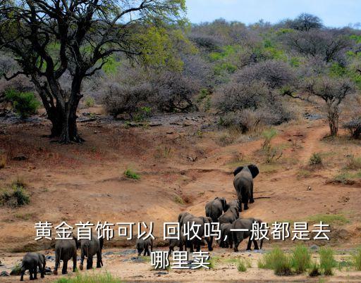  黃金首飾可以 回收嗎,一般都是去哪里賣