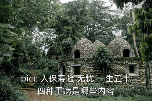 picc 人保壽險 無憂 一生五十四種重病是哪些內容