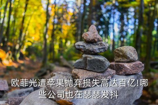  歐菲光遭蘋(píng)果拋棄損失高達(dá)百億!哪些公司也在瑟瑟發(fā)抖