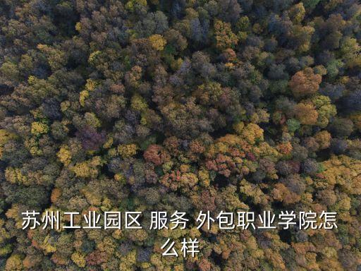 中國(guó)服務(wù)外包第一校,中國(guó)軟件服務(wù)外包