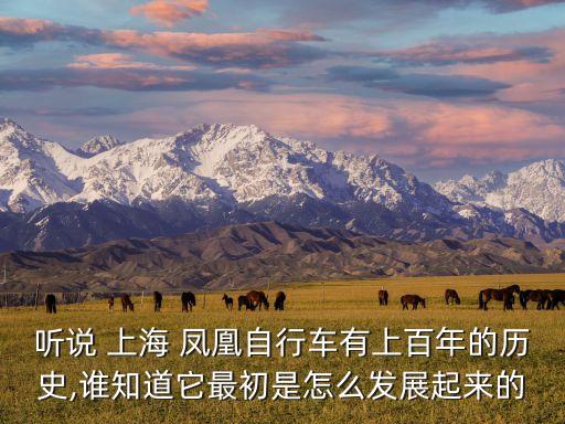 聽說(shuō) 上海 鳳凰自行車有上百年的歷史,誰(shuí)知道它最初是怎么發(fā)展起來(lái)的