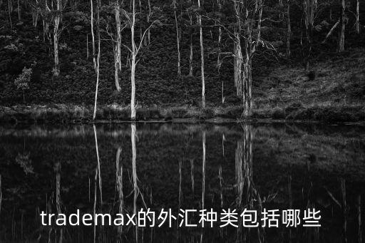 trademax的外匯種類(lèi)包括哪些
