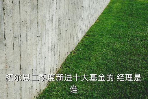 嘉實(shí)新收益混合000870基金經(jīng)理