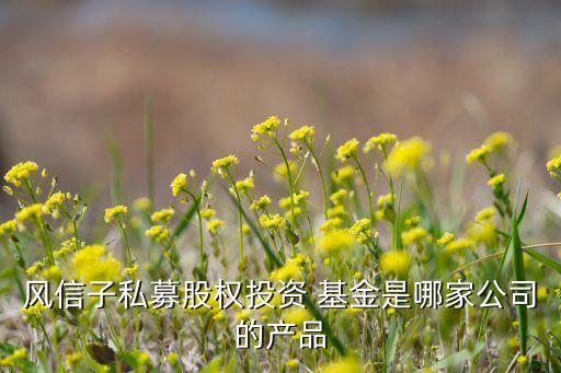 國(guó)創(chuàng)開(kāi)元母基金,國(guó)開(kāi)開(kāi)元基金董事長(zhǎng)