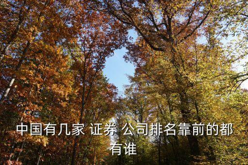 中國(guó)有幾家 證券 公司排名靠前的都有誰