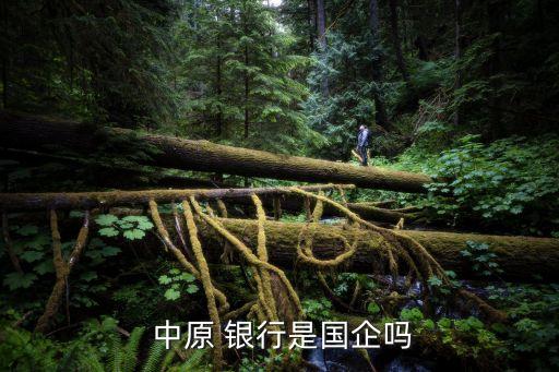  中原 銀行是國企嗎