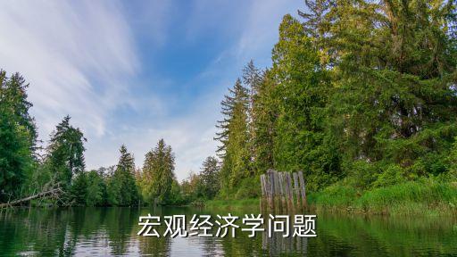 宏觀經(jīng)濟學問題