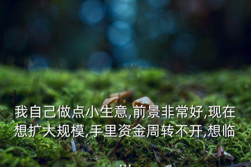 我自己做點小生意,前景非常好,現(xiàn)在想擴大規(guī)模,手里資金周轉不開,想臨...