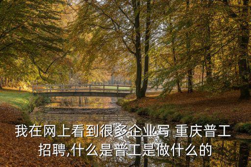 我在網(wǎng)上看到很多企業(yè)寫(xiě) 重慶普工 招聘,什么是普工是做什么的