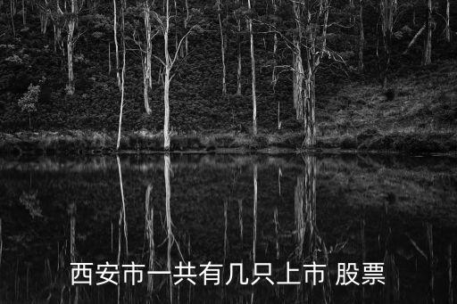 西安市一共有幾只上市 股票