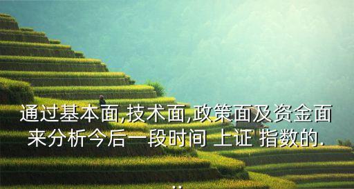 通過(guò)基本面,技術(shù)面,政策面及資金面來(lái)分析今后一段時(shí)間 上證 指數(shù)的...